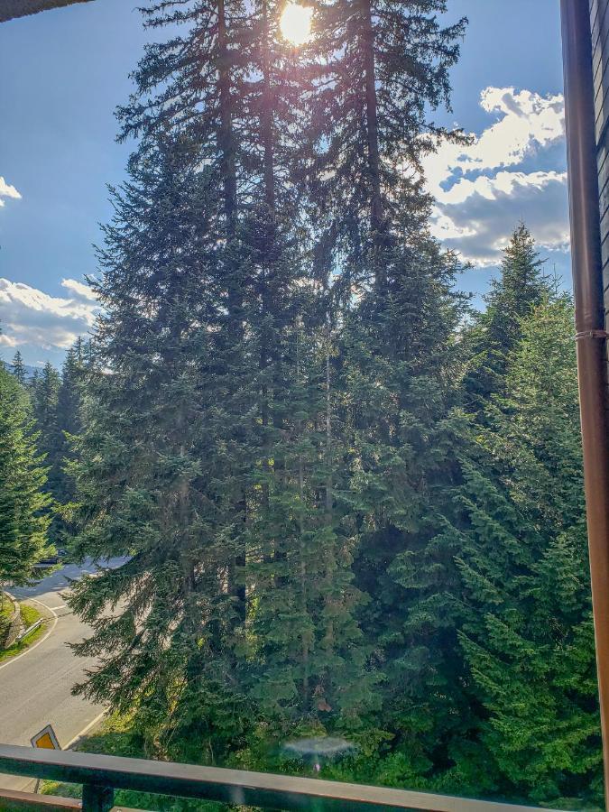 Lovely Borovets Apartment Exterior foto